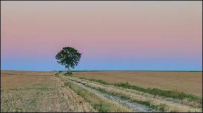 Et c'est dans la Brie que l'on prend le temps de rendre le labour moins profond !
1re personne, au présent de l'indicatif pour un verbe du 1er groupe.