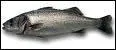 Quel est ce poisson appel aussi Bar ?