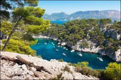 Qui a chanté ces paroles : "On dirait le Sud/ Le temps dure longtemps/ Et la vie sûrement/ Plus d'un million d'années/ Et toujours en été" ?