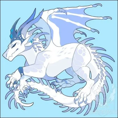 À quoi sert véritablement sa bague de vision ?