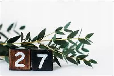 Laquelle de ces personnalités n'est pas décédée à 27 ans ?