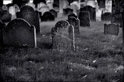 Qui chante : "Il y a ceux qui veulent mourir un jour de pluie, et d'autres en plein soleil" ?