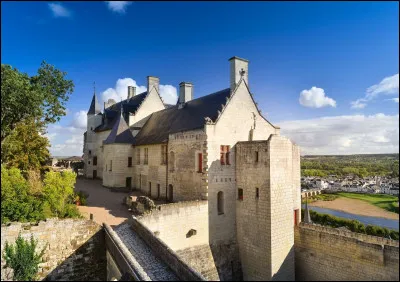 Quel est ce château ?