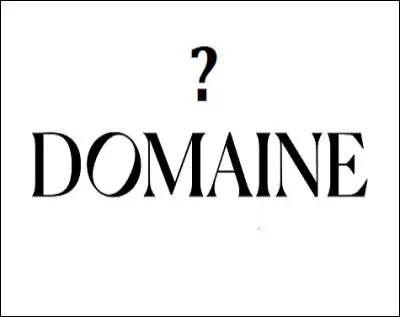 Dans quel domaine parle-t-on de nègre lorsqu'il ne s'agit pas de lappellation péjorative d'un homme noir ?