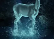 Quiz Un personnage de ''Harry Potter'' : son patronus