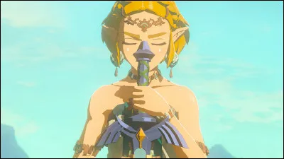 Où se trouve la maison de Zelda ?