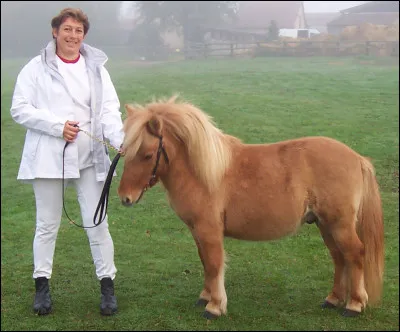 Quelle est la robe de ce shetland ?