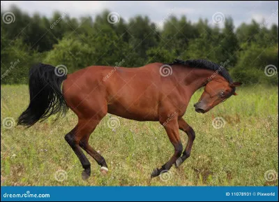 Qu'est-ce que l'impulsion ?