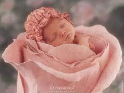 Arts : quelle photographe est notamment connue pour ses photos de bébés dans des pots de fleurs ?