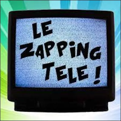 Zapping : Sur quelle cha&icirc;ne &eacute;tait diffus&eacute;e l'&eacute;mission "Le Zapping" entre 1989 et 2016 ?