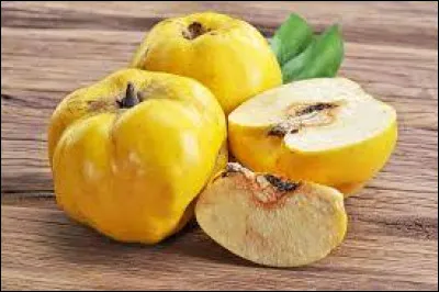 Coing : De quel arbre est issu ce fruit ?