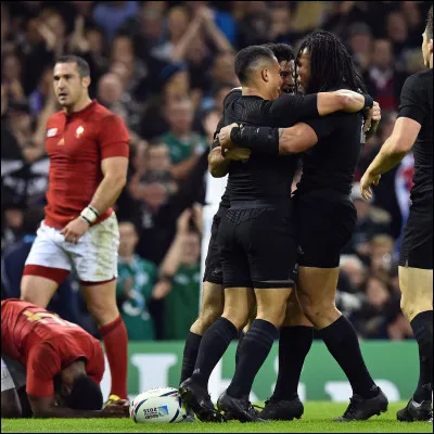 Quelle équipe renvoya dans ses pénates cette pathétique équipe de France en 1/4 de finale ?