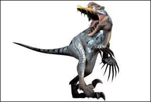 Wyvern aviaire vivant dans les Montagnes enneiges, ils crachent de la glace et attaquent en meutes.