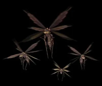 Neopteron volant au dard paralysant.