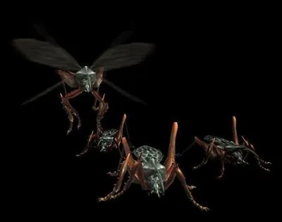 Neopteron sauteur aux attaques blier.