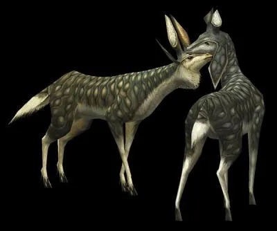 Herbivore semblable  des daims, ils s'enfuient au moindre danger. Leur cornes sont trs prises.