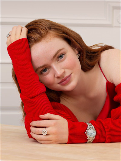 Quelles sont ses professions ?