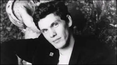 Comment le regard de celle qui a les yeux revolver d'après une chanson de Marc Lavoine ?