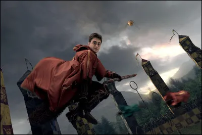 Je suis un batteur dans l'équipe de Quidditch de Gryffondor.