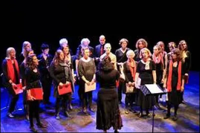 Poucette m'a déjà parlé de sa passion pour les chorales. C'est une membre dont j'admire la rigueur. Voyons si vous vous y connaissez autant qu'elle en chorale : comment les sopranos masculins étaient-ils appelés dans la période classique ?