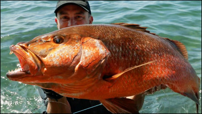 C'est le roi de la pêche !
