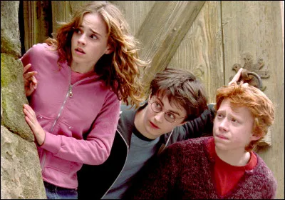 Qui suit Harry comme un paparazzi ?