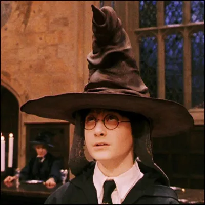 Dans quelle maison Harry est-il ?