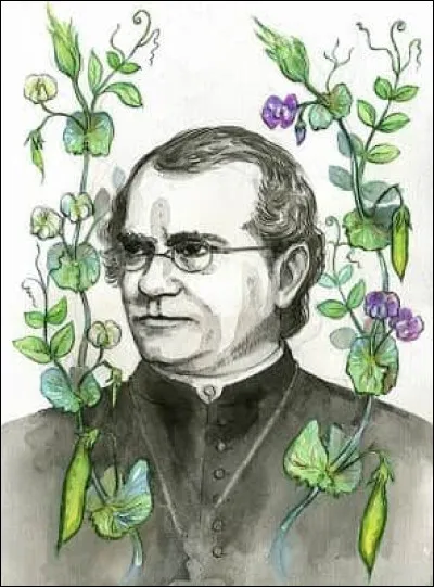 Ce moine a découvert les lois de l'hérédité en faisant des essais de croisement sur les petits pois dans le couvent de Brünn. Quel est le deuxième prénom de Mendel ?