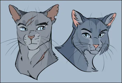 &Eacute;nigme : Mon premier est le synonyme de fourrure...Mon deuxi&egrave;me et une pierre que l’on r&eacute;colte Mon tout est un lieutenant tu&eacute; par &Eacute;clair Noir et d’autres chats