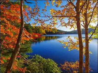 En quelle année le court-métrage "Autumn" est-il sorti ?