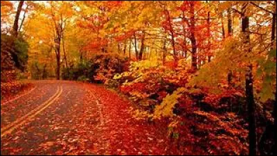 Quel était le troisième mois de l'automne dans le calendrier républicain français ?