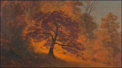 Qui a réalisé ce beau dessin ?