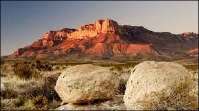 La capitale du Texas est Dallas.