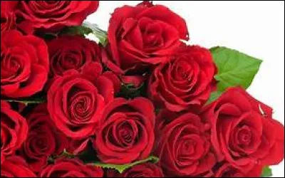 Dans lequel de ces pays ne trouve-t-on pas le Mont Rose ?