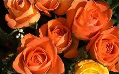 En quelle année Charles de Tricornot de Rose est-il né ?