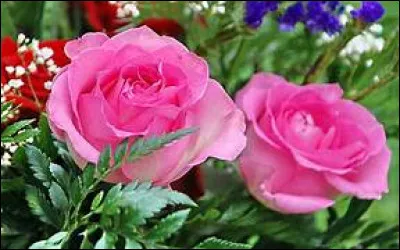 De quel pays Seraphim Rose vient-il ?