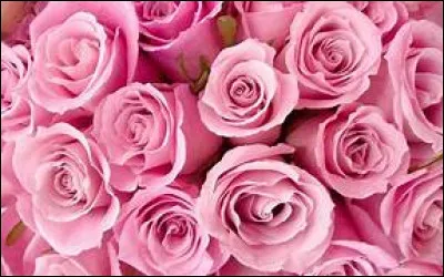 De quel pays Rose vient-elle dans "Street Fighter Alpha" ?