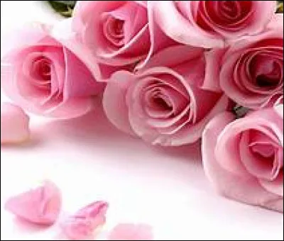 De qui Rose est-elle amoureuse dans "Titanic" ?