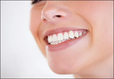 Combien de dents possède l'être humain, adulte ?