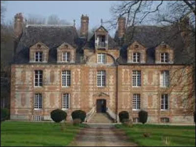 Je vous emmène en Normandie à la découverte du château d'Esteville. Commune de l'aire d'attraction Rouennaise, elle se situe dans le département ...