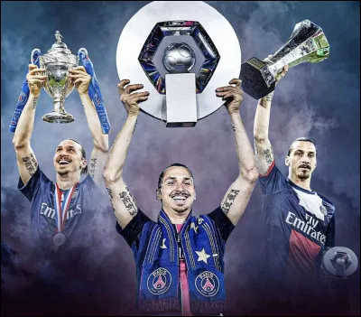 Combien de trophées a-t-il remportés avec le PSG ?