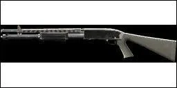 Quelle est cette arme ?