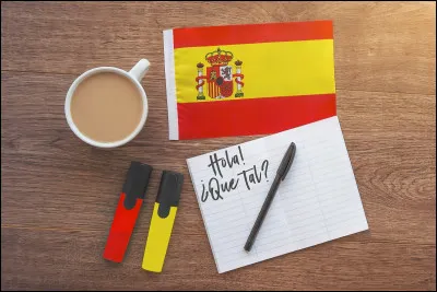 Stéphanie et ses camarades sont en train d'apprendre les couleurs dans la langue de Cervantes. Ils sont en cours...