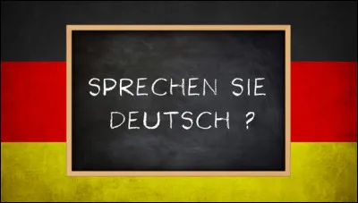 Stéphanie et ses camarades sont en train de chercher la traduction de "Guten Tag". Ils sont en cours...