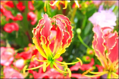 Priver du recours en justice si un certain délai a été dépassé !