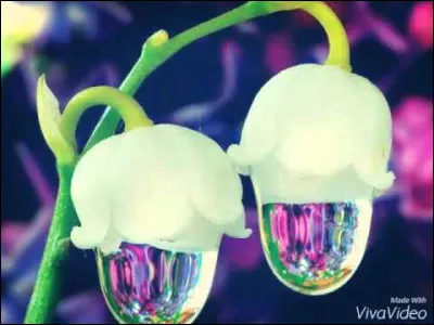 Aux XVIIe et XVIIIe siècle, longue épée de duel très légère !