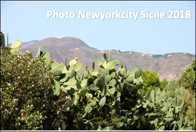 Quelle est cette île italienne volcanique en V, située en mer Tyrrhénienne ?