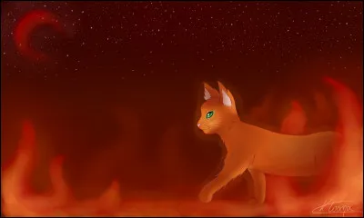 Aimes-tu C�ur de Feu ?