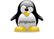 Quiz Pingouin