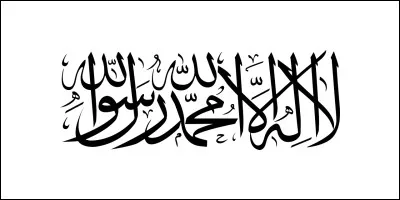 Si le pays en lui-même est reconnu comme tel par l'ONU, ce n'est pas le cas du gouvernement qui le dirige actuellement. En effet, après avoir progressivement pris le contrôle de l'ensemble du pays suite au retrait de l'armée américaine, ce gouvernement est toujours actuellement reconnu par aucun autre Etat. Vous l'avez deviné, il s'agit de...